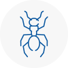 Ant Removals In West Acton
