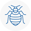 Bed Bug Extermination In West Acton