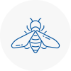 Bee Nest Removal West Acton
