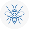 West Acton Hornet Nest Removals