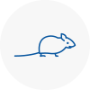 Mice Exterminators In West Acton