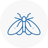 Moth Control Specialists In West Acton