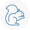 West Acton Rodent Removals